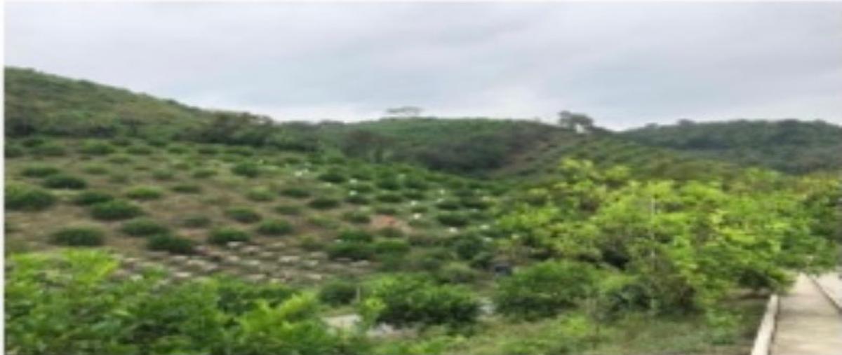 Foto de rancho en anclon , anclon y arenal, gutiérrez zamora, veracruz de ignacio de la llave, 0 foto 01 Foto de rancho en venta en anclon , anclon y arenal, gutiérrez zamora, veracruz de ignacio de la llave, 0 No. 01