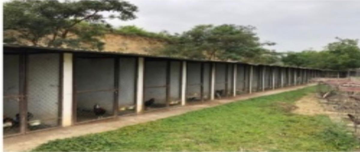 Foto de rancho en anclon , anclon y arenal, gutiérrez zamora, veracruz de ignacio de la llave, 0 foto 05 Foto de rancho en venta en anclon , anclon y arenal, gutiérrez zamora, veracruz de ignacio de la llave, 0 No. 05