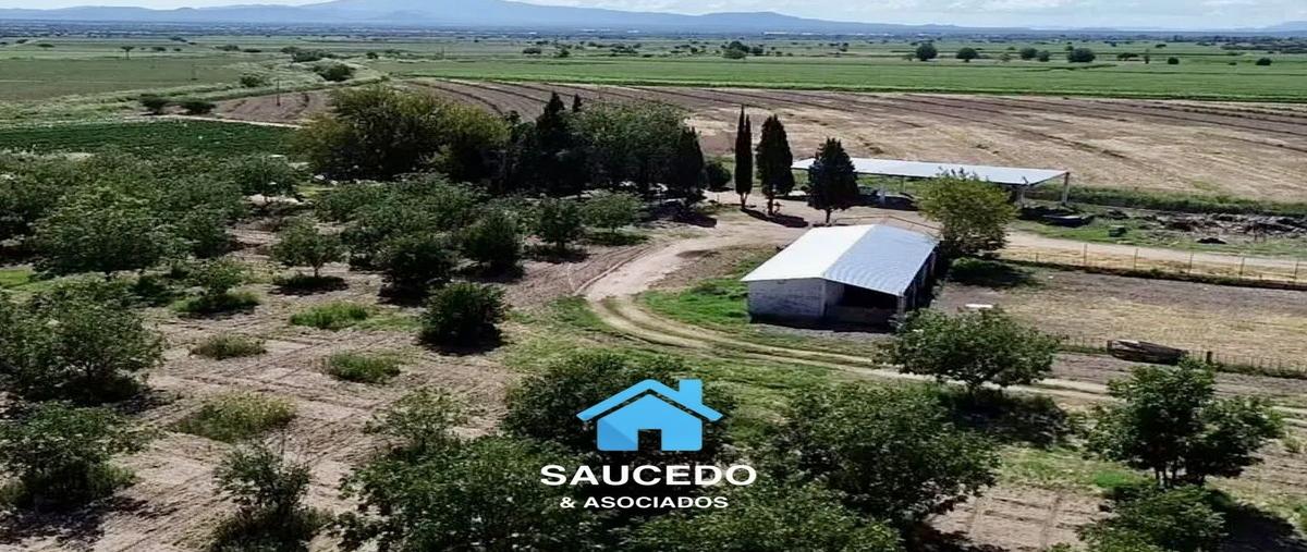 Foto de rancho en venta en ancon , vicente guerrero, durango, durango, 28524276 No. 03