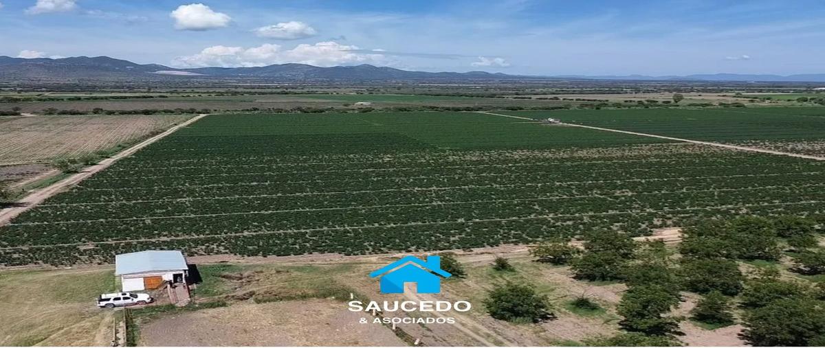 Foto de rancho en venta en ancon , vicente guerrero, durango, durango, 28524276 No. 04