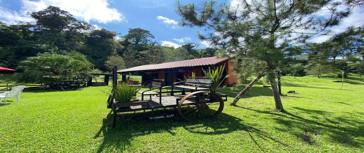 Foto de rancho en venta en andador 10 , san fernando, tuxtla gutiérrez, chiapas, 0 No. 04