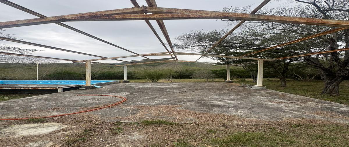 Foto de terreno habitacional en venta en andador , las puentes, montemorelos, nuevo león, 31544819 No. 03