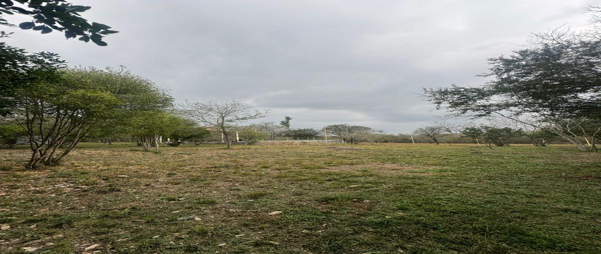 Foto de terreno habitacional en venta en andador , las puentes, montemorelos, nuevo león, 31544819 No. 05