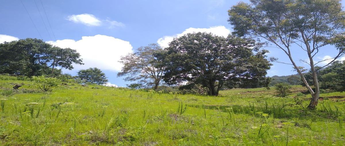 Foto de terreno habitacional en venta en andador los encinos 1, san josé de los encinos (las cabañas), amealco de bonfil, querétaro, 21698547 No. 20