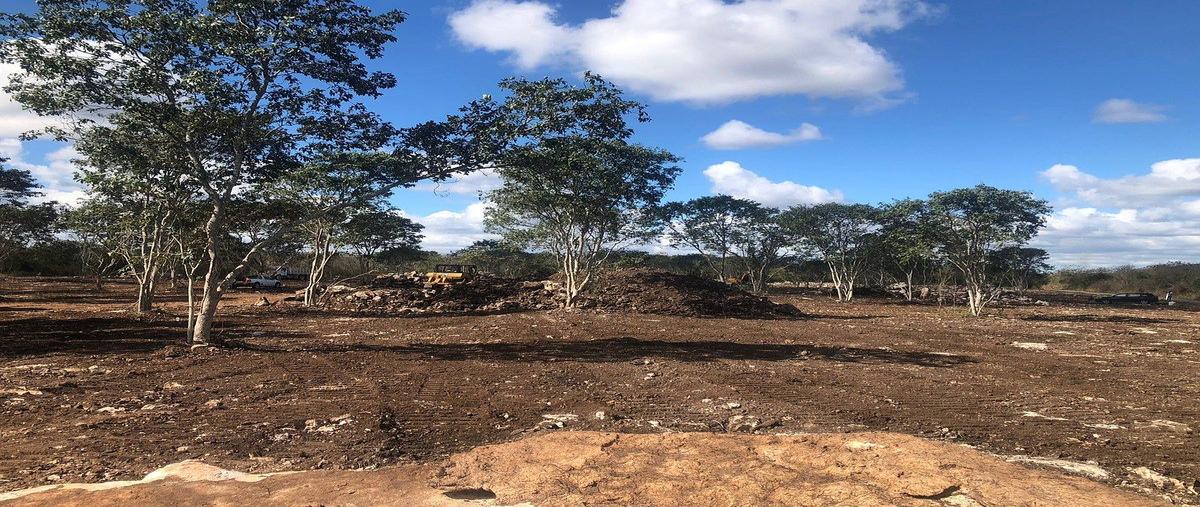 Foto de terreno habitacional en venta en andares , motul de carrillo puerto centro, motul, yucatán, 0 No. 07