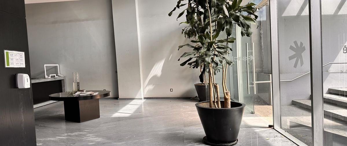 Foto de edificio en renta en andes , lomas de chapultepec v sección, miguel hidalgo, df / cdmx, 0 No. 04