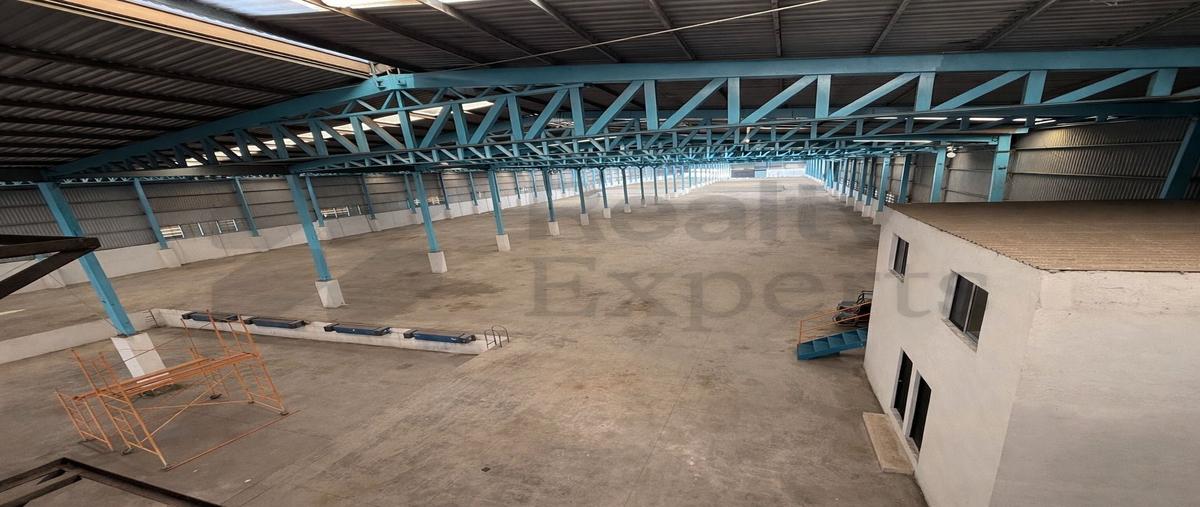 Foto de nave industrial en renta en  , andrés caballero moreno agropecuaria, general escobedo, nuevo león, 0 No. 03