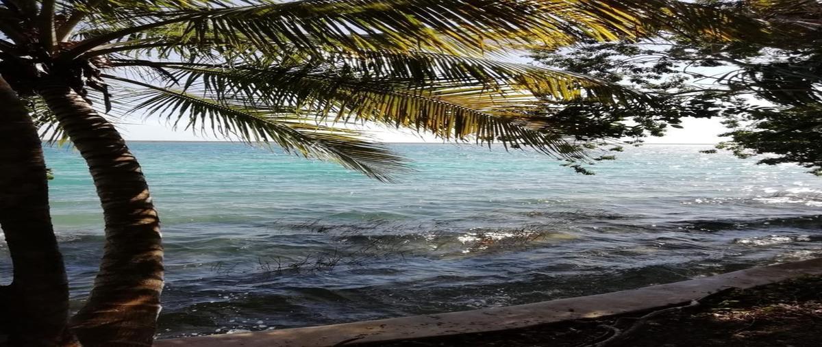 Foto de terreno habitacional en , andrés quintana roo, bacalar, quintana roo, 0 foto 01 Foto de terreno habitacional en venta en , andrés quintana roo, bacalar, quintana roo, 0 No. 01