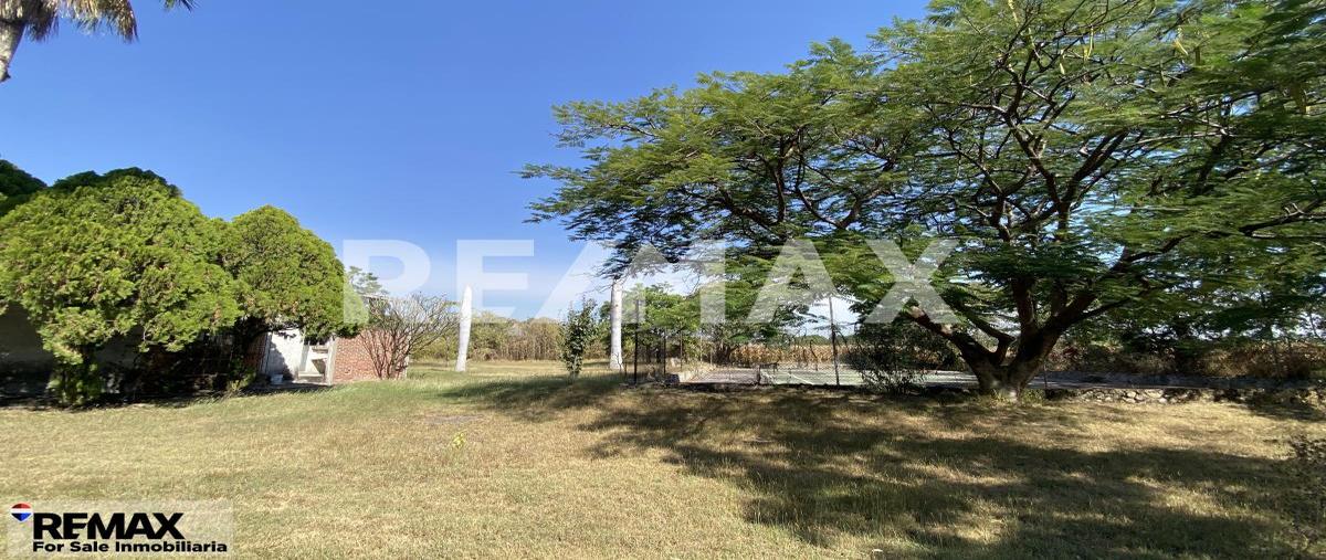 Foto de terreno habitacional en venta en anenehuilco , xoxocotla, puente de ixtla, morelos, 0 No. 04
