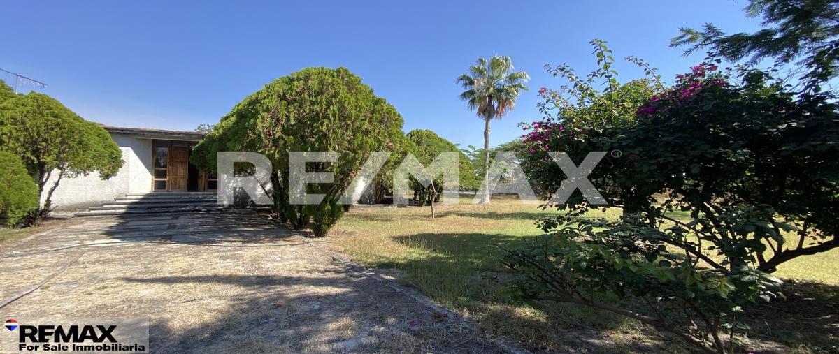 Foto de terreno habitacional en venta en anenehuilco , xoxocotla, puente de ixtla, morelos, 0 No. 05