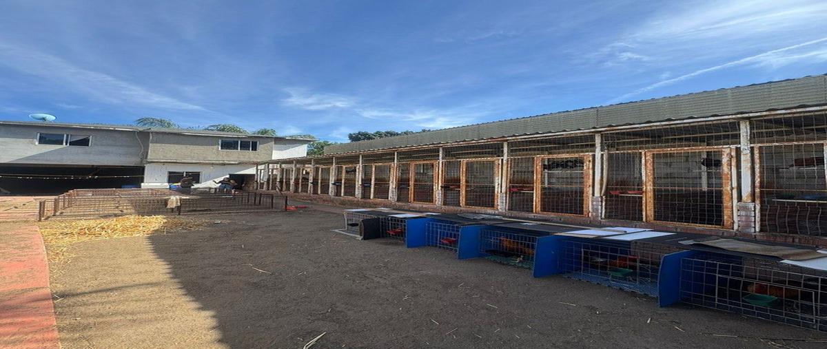 Foto de terreno habitacional en anexa , anexa sanchez taboada, tijuana, baja california, 0 foto 03 Foto de terreno habitacional en venta en anexa , anexa sanchez taboada, tijuana, baja california, 0 No. 03