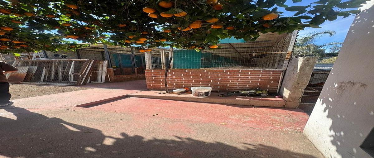 Foto de terreno habitacional en anexa , anexa sanchez taboada, tijuana, baja california, 0 foto 05 Foto de terreno habitacional en venta en anexa , anexa sanchez taboada, tijuana, baja california, 0 No. 05