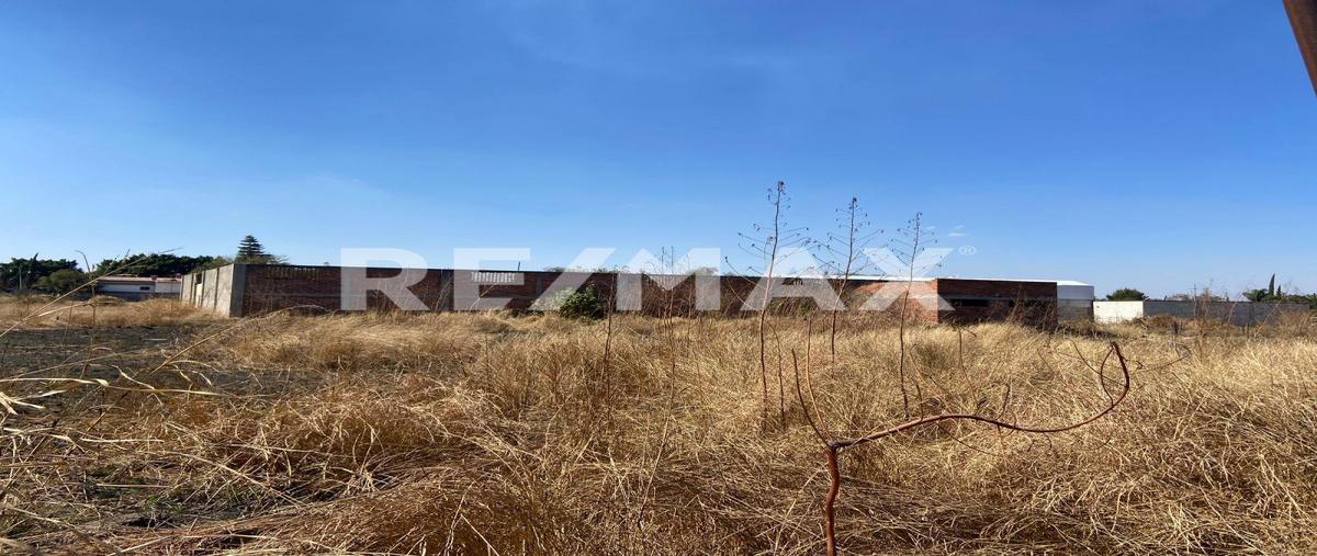 Foto de terreno comercial en venta en angel davalos rodriguez , la laja, zapotlanejo, jalisco, 0 No. 02