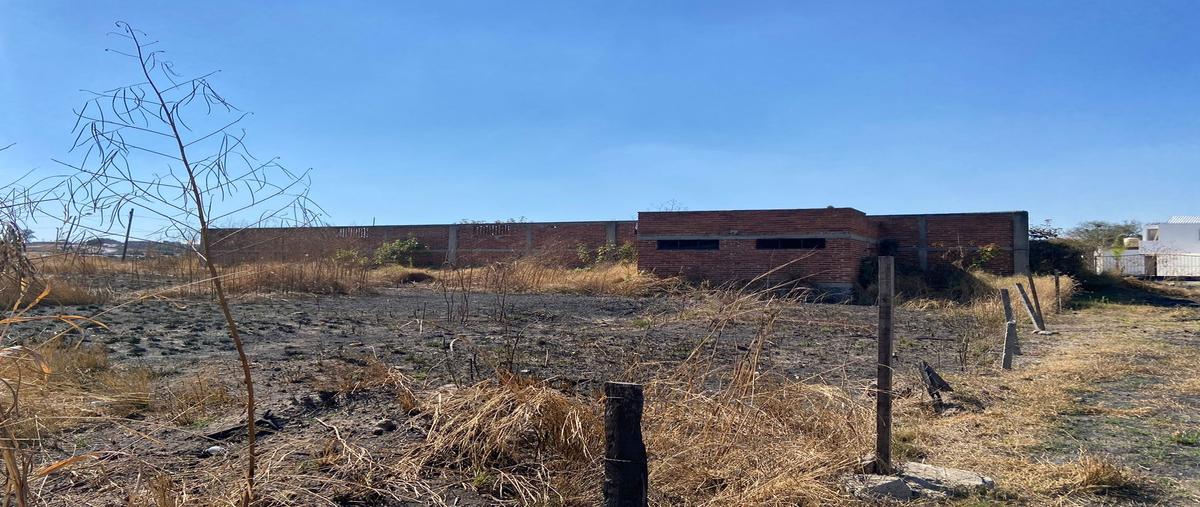 Foto de terreno comercial en venta en angel davalos rodriguez , la laja, zapotlanejo, jalisco, 26491383 No. 05