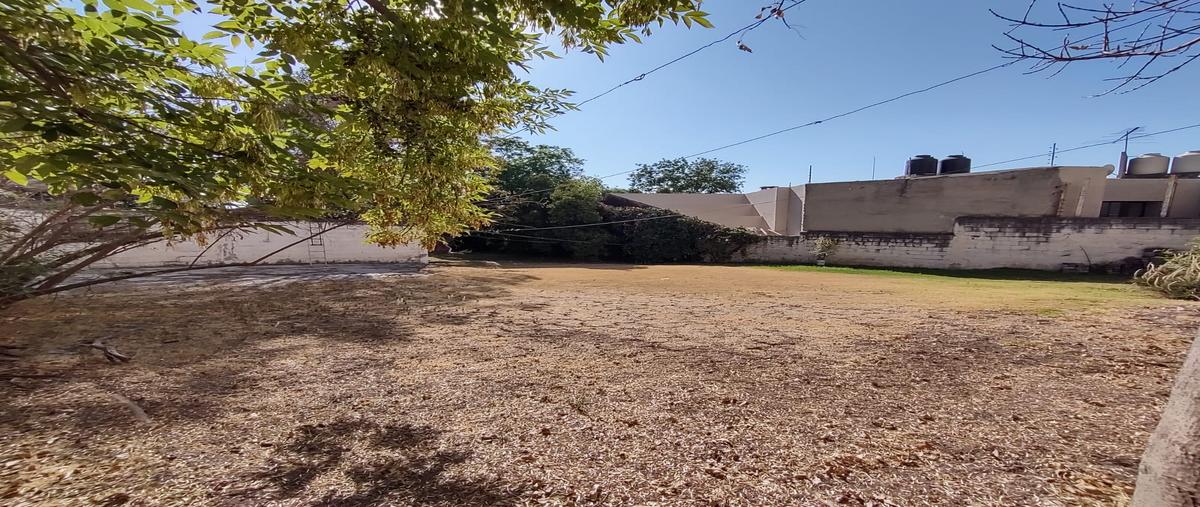 Foto de terreno habitacional en venta en ángel maría garibay quintana , olivar de los padres, álvaro obregón, df / cdmx, 29454369 No. 04