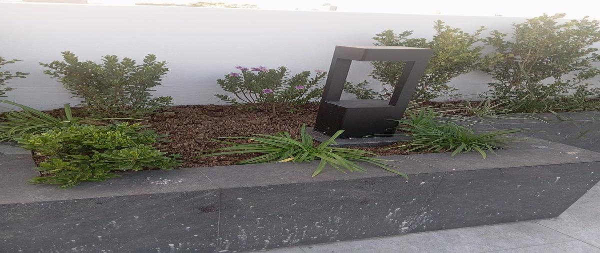 Foto de departamento en renta en angel urraza , independencia, benito juárez, df / cdmx, 0 No. 04