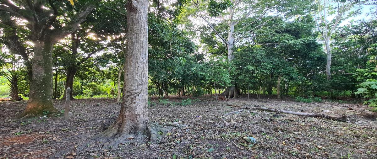 Foto de terreno habitacional en venta en  , ángeles ixtacomitan, centro, tabasco, 27059100 No. 03