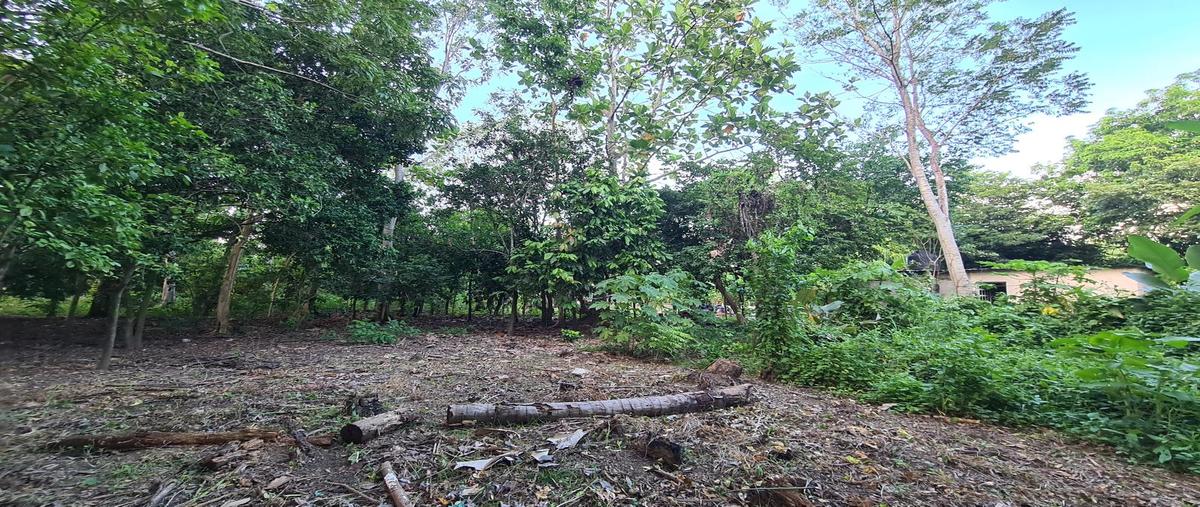 Foto de terreno habitacional en venta en  , ángeles ixtacomitan, centro, tabasco, 27059100 No. 04