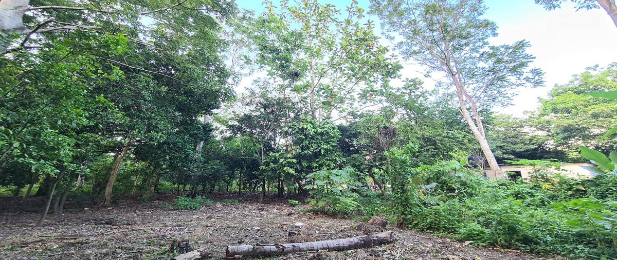 Foto de terreno habitacional en venta en  , ángeles ixtacomitan, centro, tabasco, 27059100 No. 05