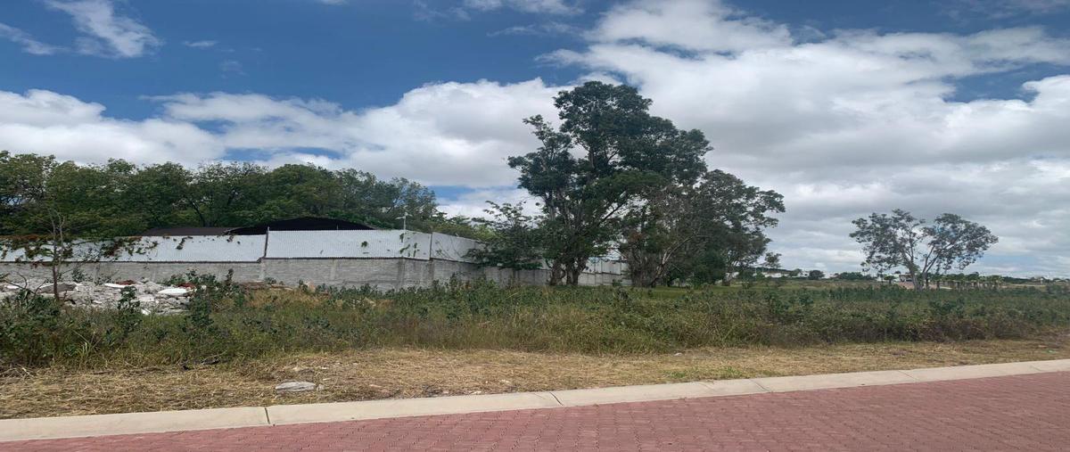 Foto de terreno comercial en renta en anillo vial ii ciudad maderas el marques queretaro , ciudad maderas, el marqués, querétaro, 21963175 No. 03