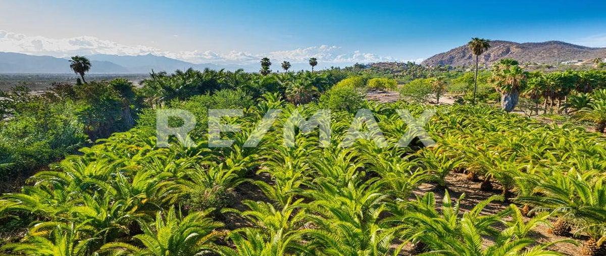 Foto de terreno habitacional en venta en animas , animas altas, los cabos, baja california sur, 27742684 No. 01