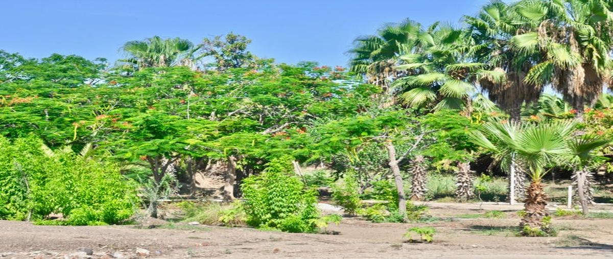 Foto de terreno habitacional en venta en animas , animas altas, los cabos, baja california sur, 27742684 No. 04