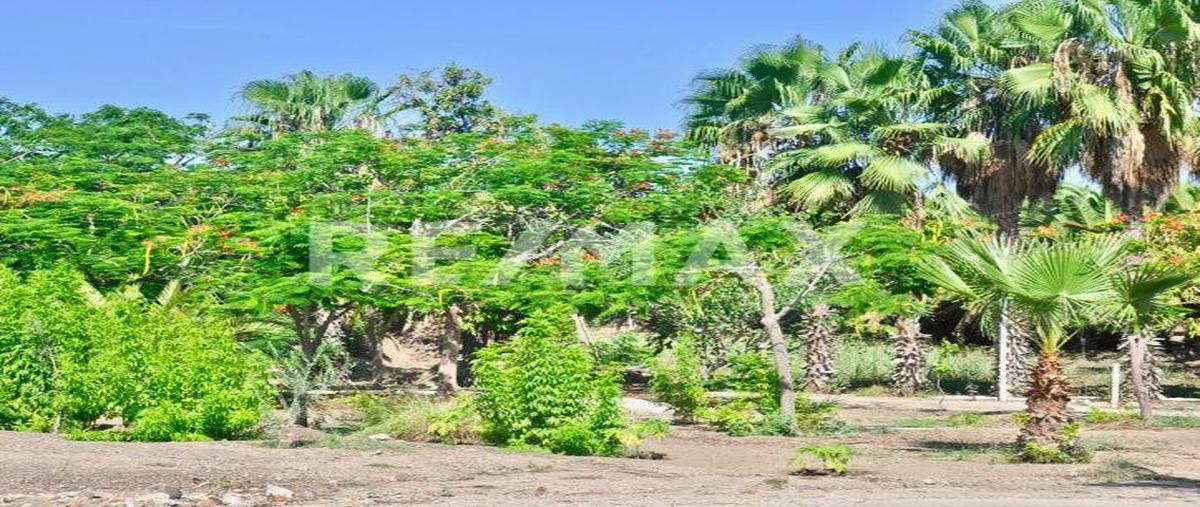 Foto de terreno habitacional en venta en animas , animas altas, los cabos, baja california sur, 27742684 No. 04