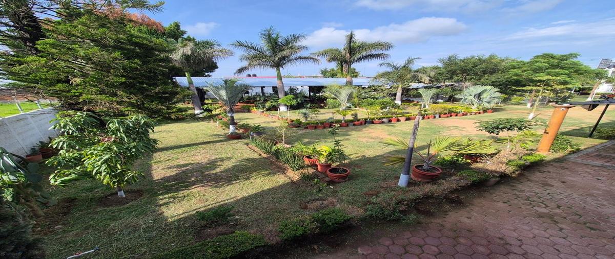 Foto de terreno habitacional en renta en  , animas trujano, ánimas trujano, oaxaca, 0 No. 03