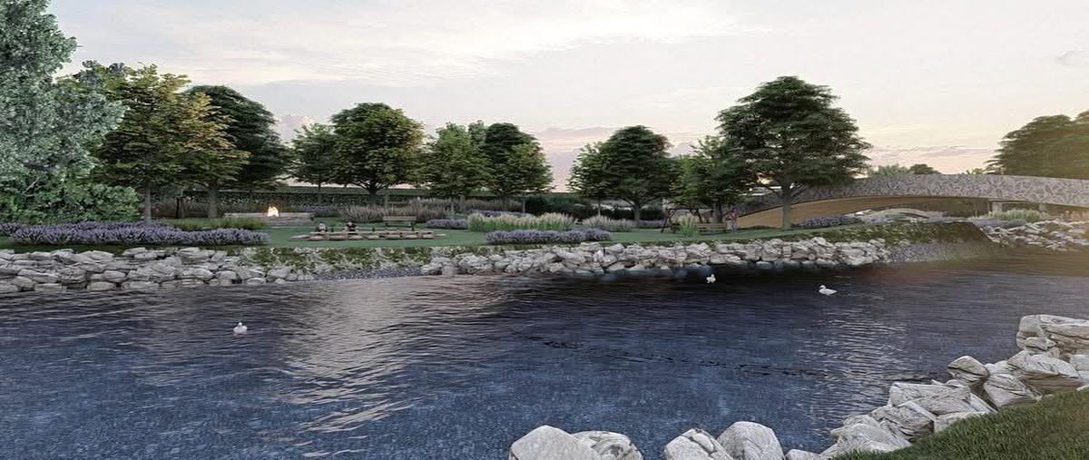 Foto de terreno habitacional en venta en  , anita, montemorelos, nuevo león, 0 No. 03