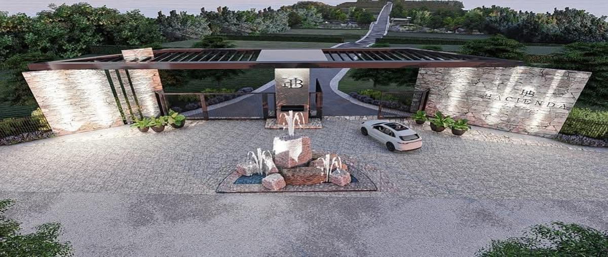 Foto de terreno habitacional en venta en  , anita, montemorelos, nuevo león, 0 No. 04