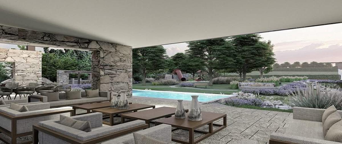 Foto de terreno habitacional en venta en  , anita, montemorelos, nuevo león, 0 No. 05