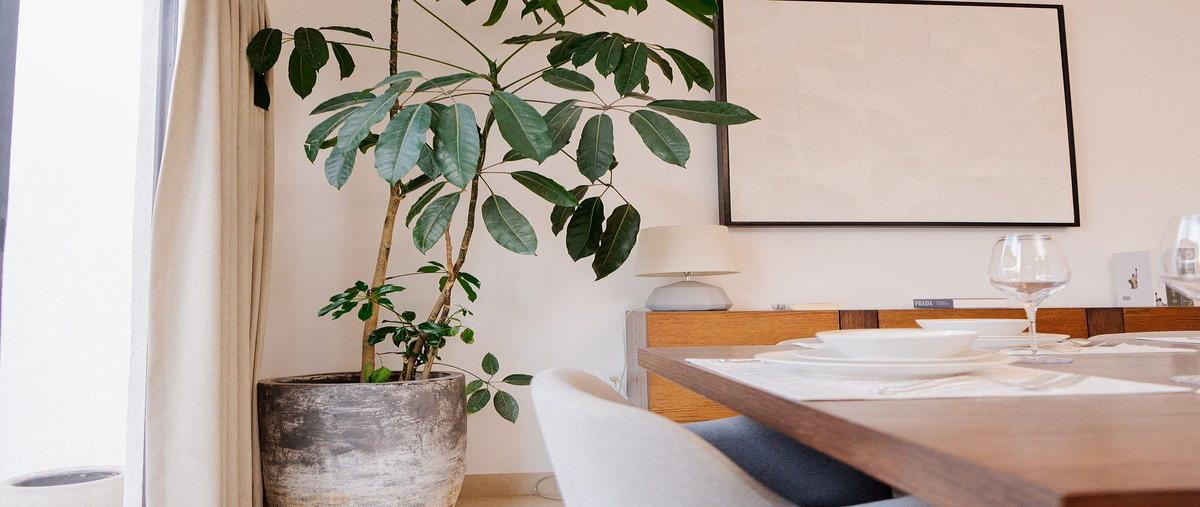 Foto de casa en venta en antea , rinconada jurica, querétaro, querétaro, 0 No. 03