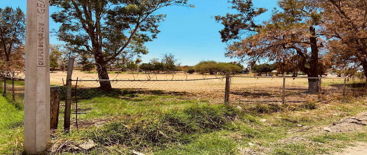 Foto de terreno comercial en venta en antigua carretera la capilla , la capilla del refugio, ixtlahuacán de los membrillos, jalisco, 25122614 No. 04