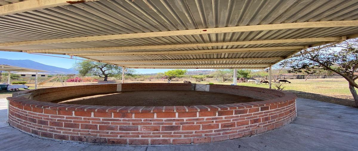 Foto de rancho en venta en antiguo camino a atequiza , ixtlahuacan de los membrillos, ixtlahuacán de los membrillos, jalisco, 24933330 No. 04