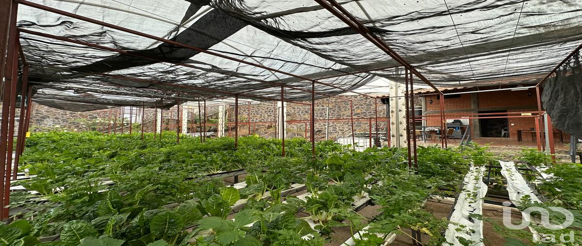 Foto de terreno habitacional en venta en antiguo camino a diligencias 115, san andrés totoltepec, tlalpan, df / cdmx, 29902570 No. 03