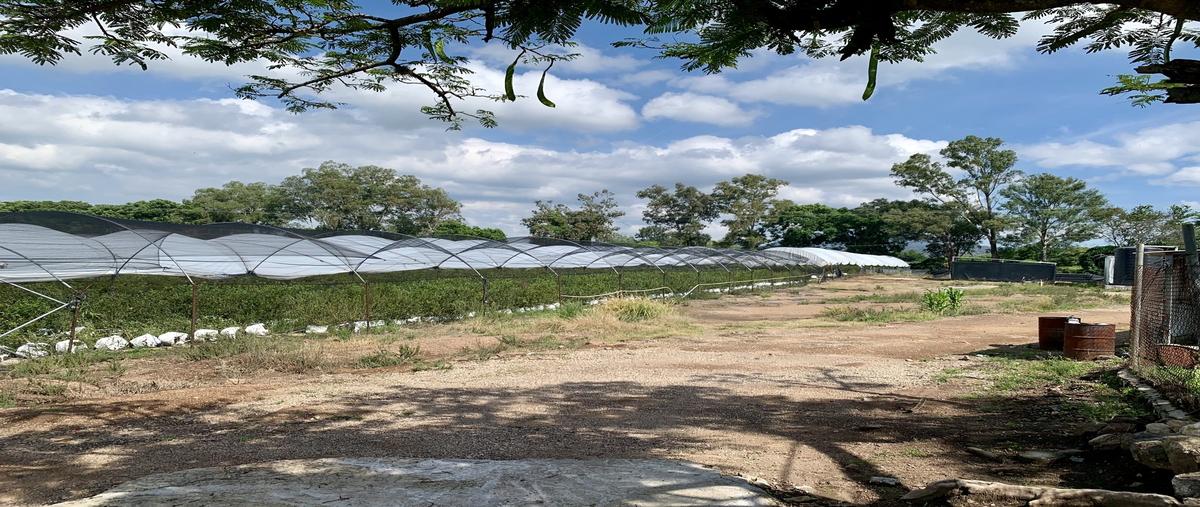 Foto de rancho en venta en antiguo camino a san isidro mazatepec , san agustin, tlajomulco de zúñiga, jalisco, 28517500 No. 02