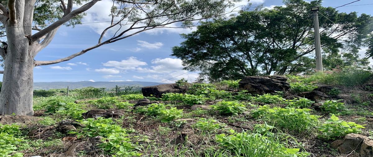 Foto de rancho en venta en antiguo camino a san isidro mazatepec , san agustin, tlajomulco de zúñiga, jalisco, 28517500 No. 05