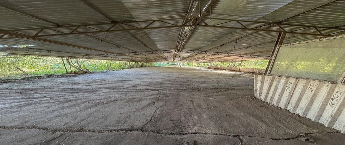 Foto de terreno habitacional en renta en antiguo camino a san mateo xalpa , san lucas xochimanca, xochimilco, df / cdmx, 0 No. 04