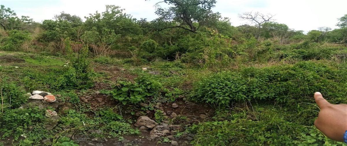 Foto de terreno habitacional en venta en antiguo camino a tepoztlan , cerritos de garcía, cuernavaca, morelos, 0 No. 03