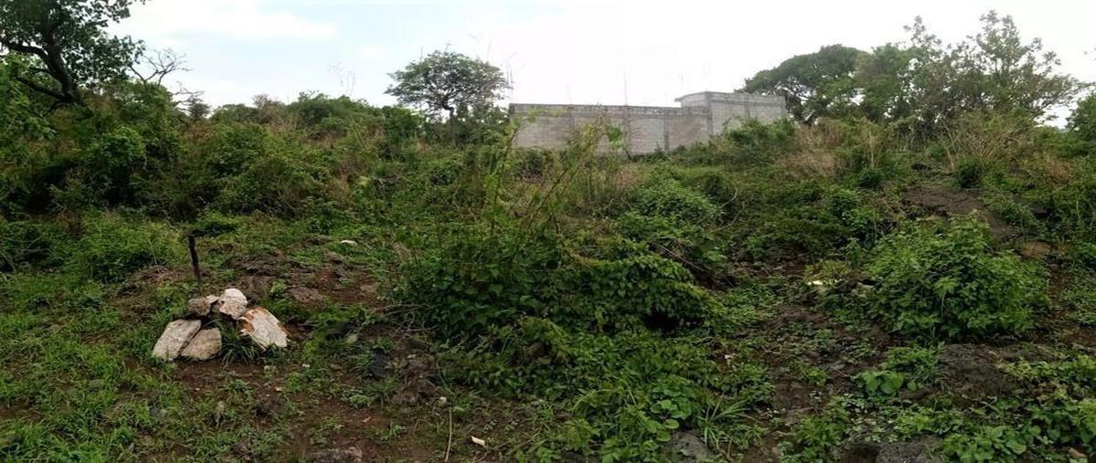 Foto de terreno habitacional en venta en antiguo camino a tepoztlan , cerritos de garcía, cuernavaca, morelos, 0 No. 04