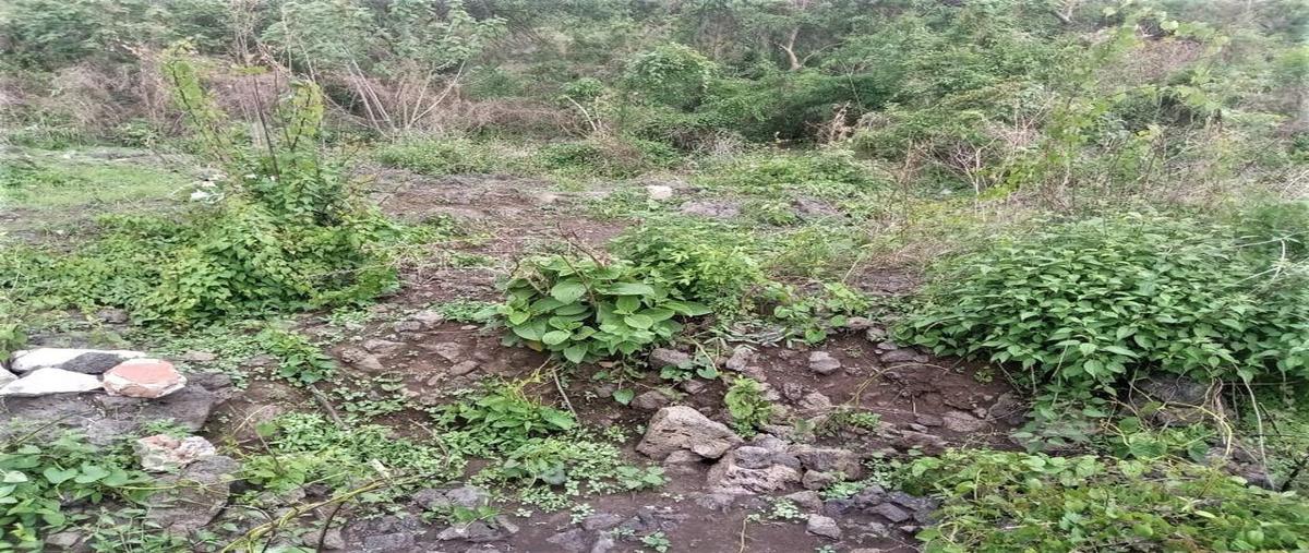 Foto de terreno habitacional en venta en antiguo camino a tepoztlan , cerritos de garcía, cuernavaca, morelos, 0 No. 05