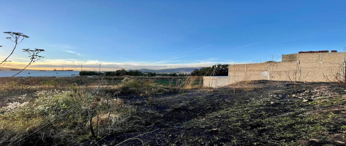 Foto de terreno habitacional en venta en antiguo camino a tlajomulco 2442, san agustin, tlajomulco de zúñiga, jalisco, 0 No. 03