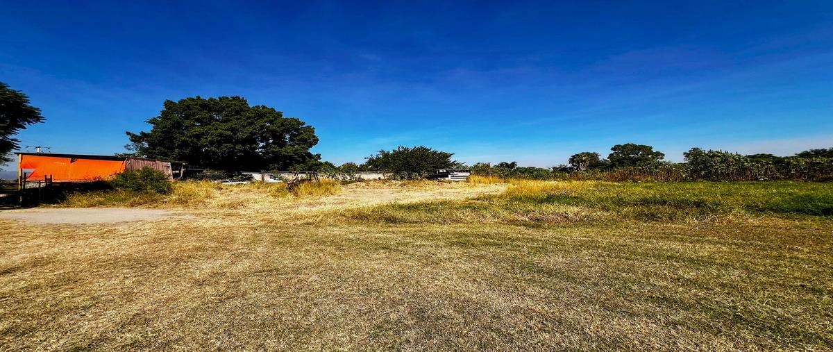 Foto de terreno industrial en venta en antiguo camino a tlajomulco , san agustin, tlajomulco de zúñiga, jalisco, 29311029 No. 01