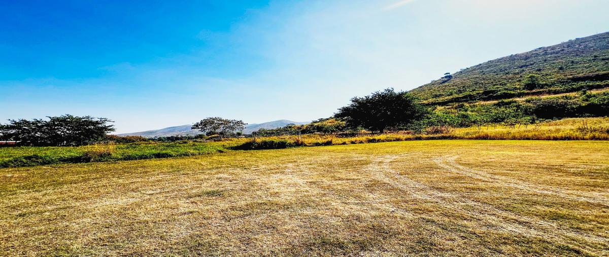 Foto de terreno industrial en venta en antiguo camino a tlajomulco , san agustin, tlajomulco de zúñiga, jalisco, 29311029 No. 02