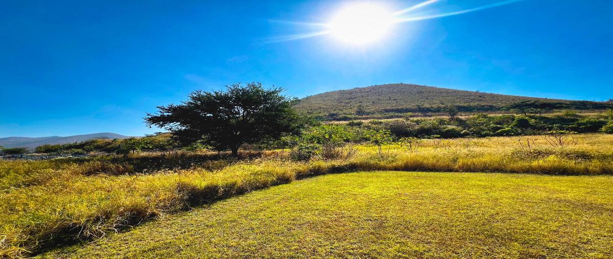 Foto de terreno industrial en venta en antiguo camino a tlajomulco , san agustin, tlajomulco de zúñiga, jalisco, 29311029 No. 05