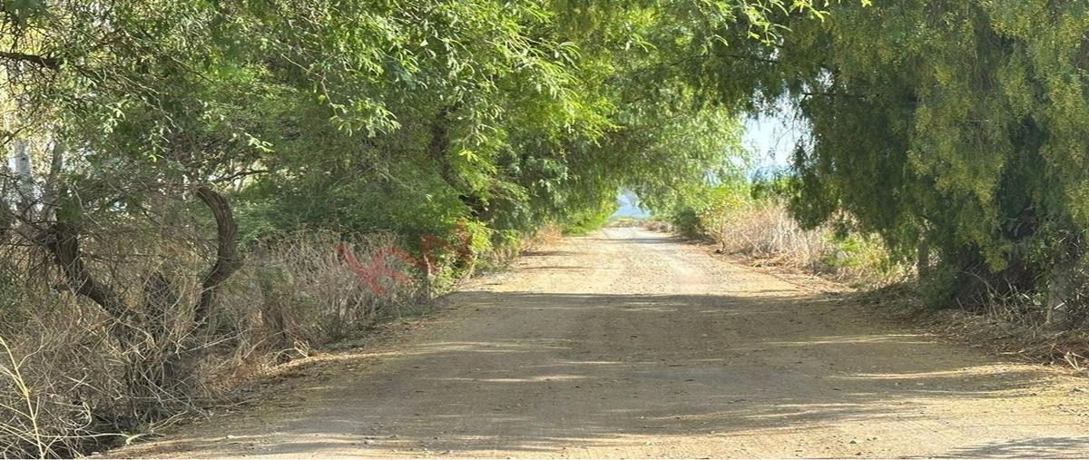 Foto de terreno habitacional en venta en antiguo camino al jobero san jose de la cruz , san josé iturbide centro, san josé iturbide, guanajuato, 0 No. 04