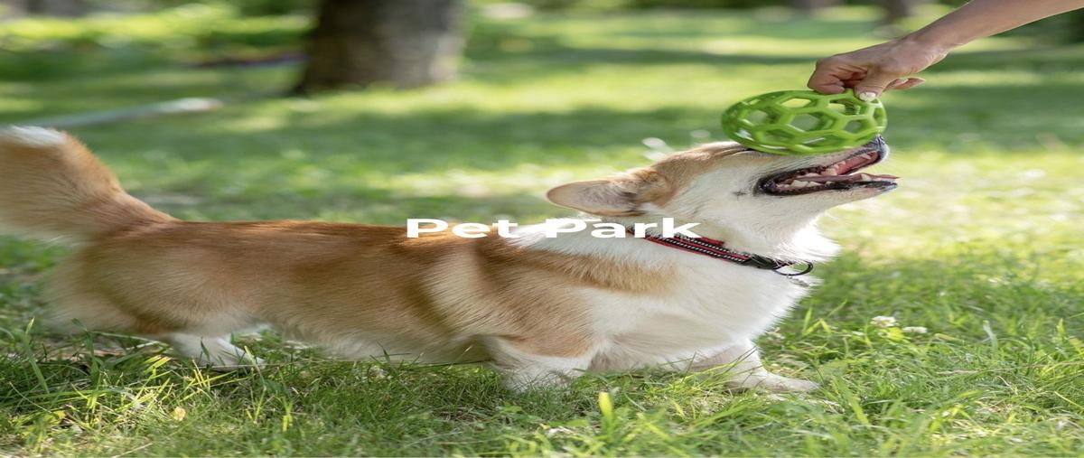 Foto de departamento en venta en antofagasta , colomos providencia, guadalajara, jalisco, 0 No. 04