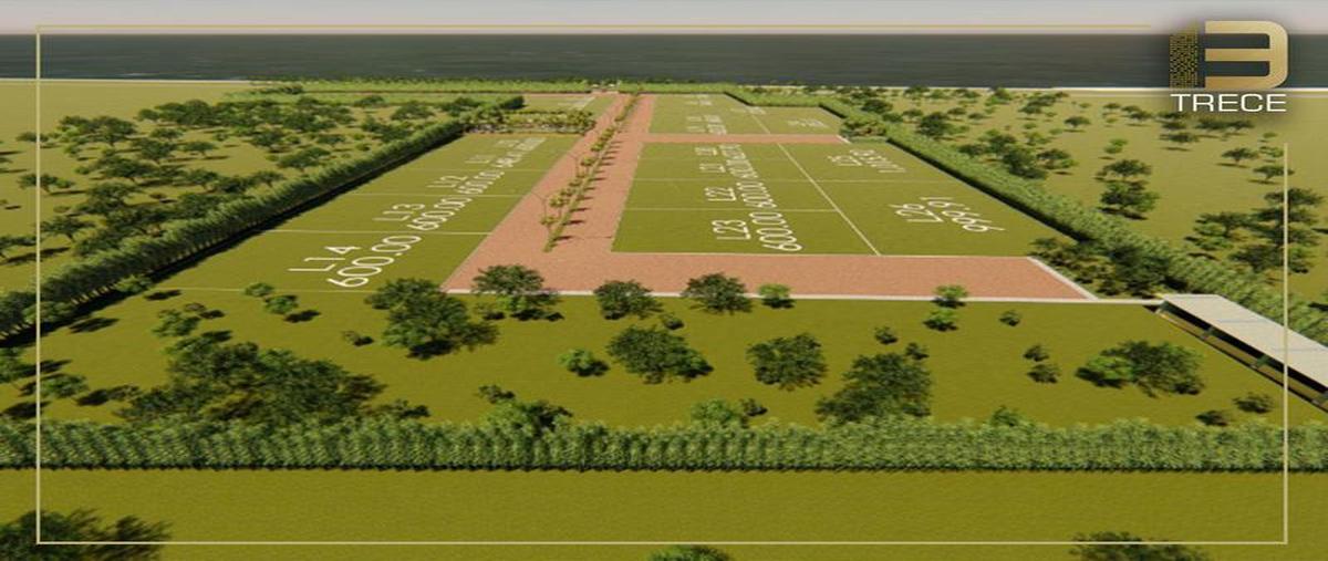 Foto de terreno habitacional en venta en  , anton lizardo, alvarado, veracruz de ignacio de la llave, 22240592 No. 03