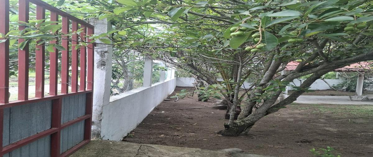 Foto de rancho en , anton lizardo, alvarado, veracruz de ignacio de la llave, 0 foto 04 Foto de rancho en venta en , anton lizardo, alvarado, veracruz de ignacio de la llave, 0 No. 04