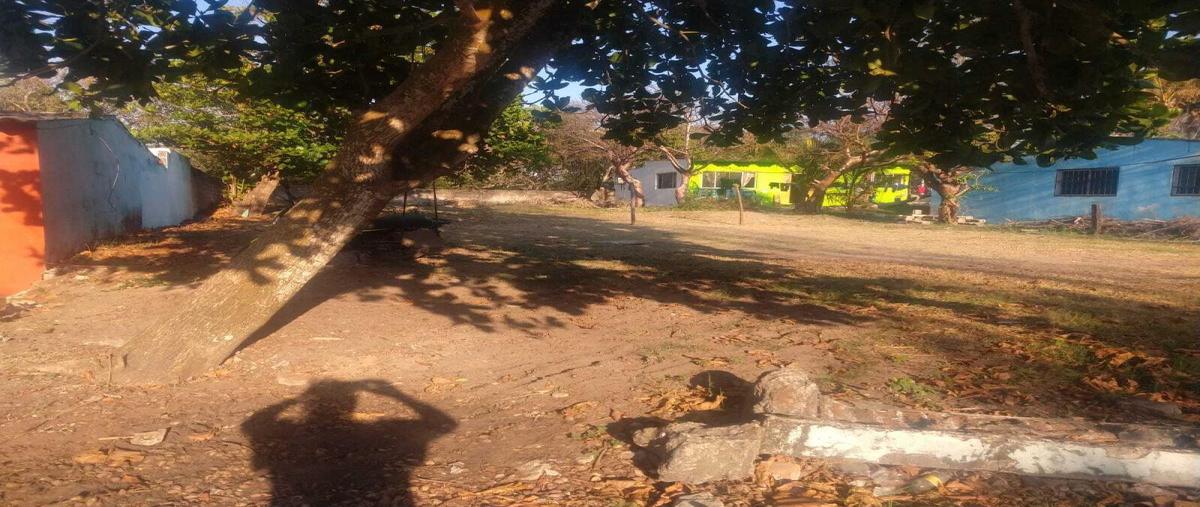 Foto de terreno habitacional en venta en  , anton lizardo, alvarado, veracruz de ignacio de la llave, 31461160 No. 04